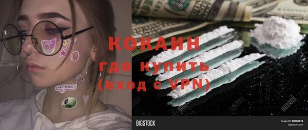 твердый Алзамай