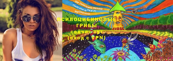 ALPHA PVP Алексеевка