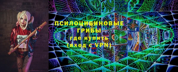 твердый Алзамай