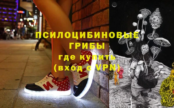 кокс Алексин