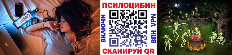 хочу   Пермь  Галлюциногенные грибы Psilocybine cubensis 
